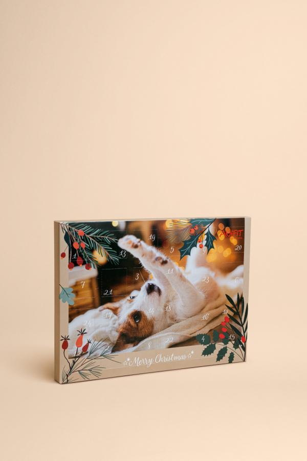 Adventskalender 2025 für Hunde