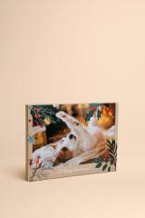 Adventskalender 2025 für Hunde